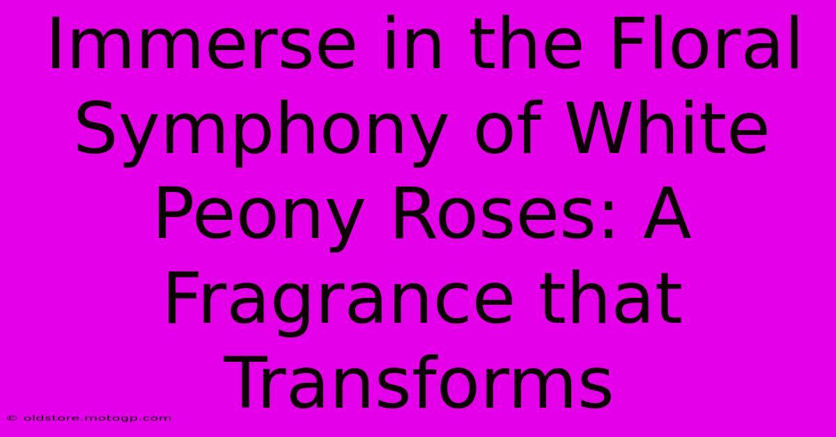 Immerse In The Floral Symphony Of White Peony Roses: A Fragrance That Transforms