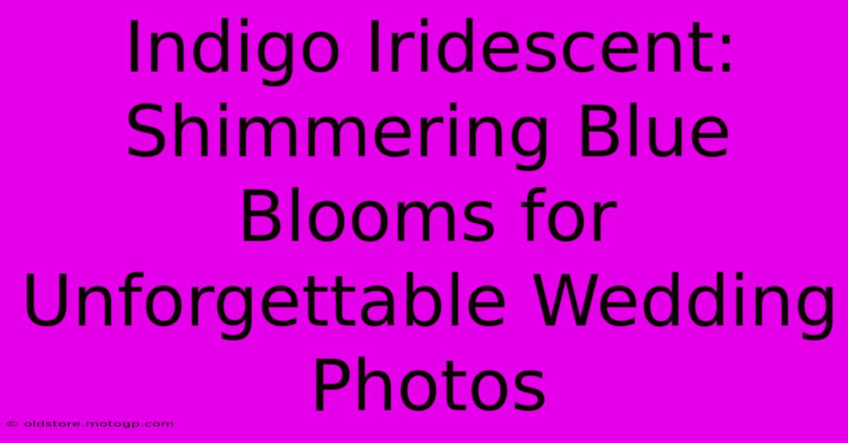 Indigo Iridescent: Shimmering Blue Blooms For Unforgettable Wedding Photos