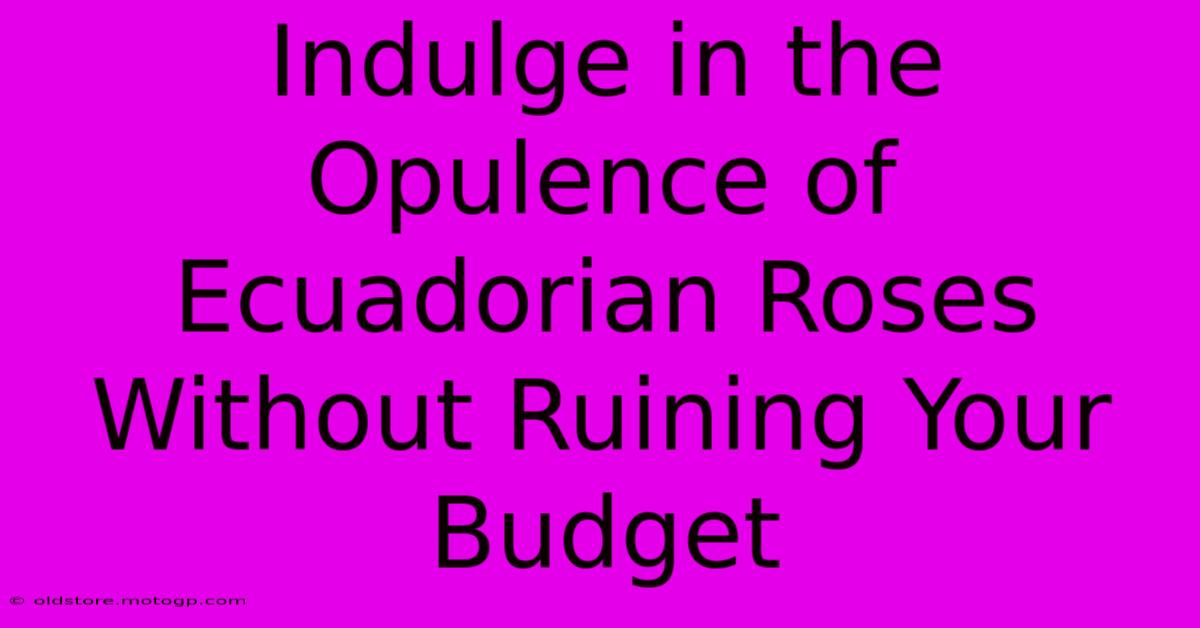 Indulge In The Opulence Of Ecuadorian Roses Without Ruining Your Budget