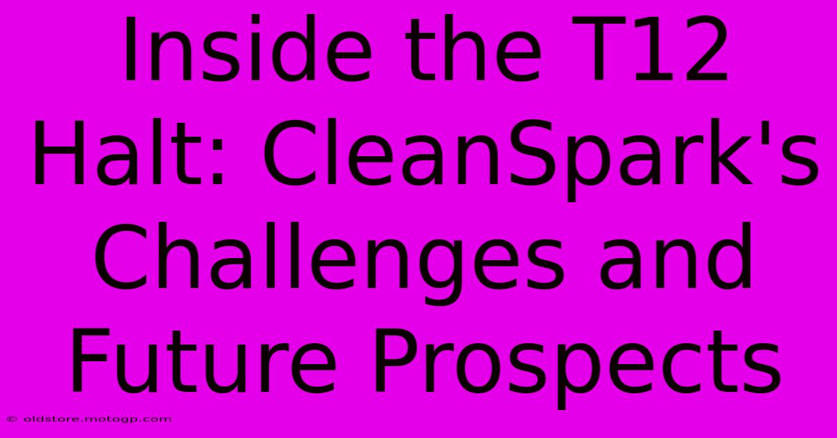 Inside The T12 Halt: CleanSpark's Challenges And Future Prospects