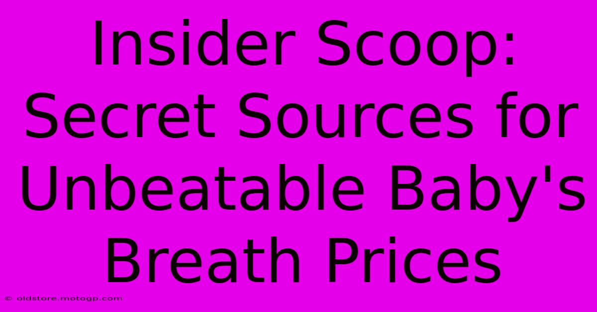 Insider Scoop: Secret Sources For Unbeatable Baby's Breath Prices