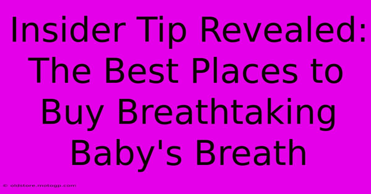 Insider Tip Revealed: The Best Places To Buy Breathtaking Baby's Breath