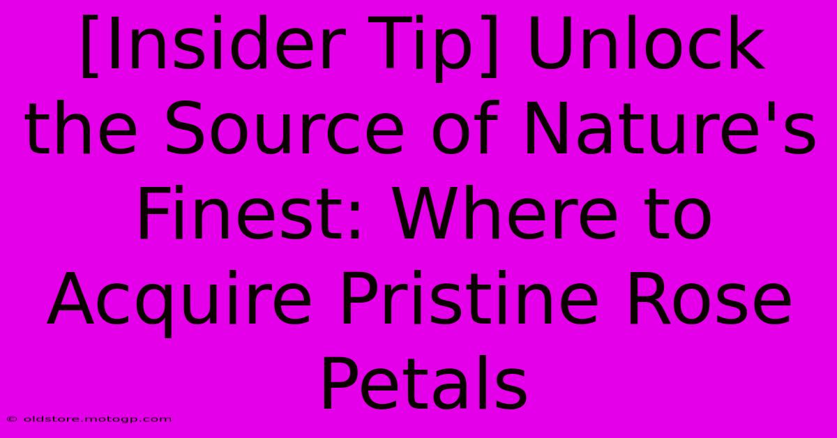 [Insider Tip] Unlock The Source Of Nature's Finest: Where To Acquire Pristine Rose Petals