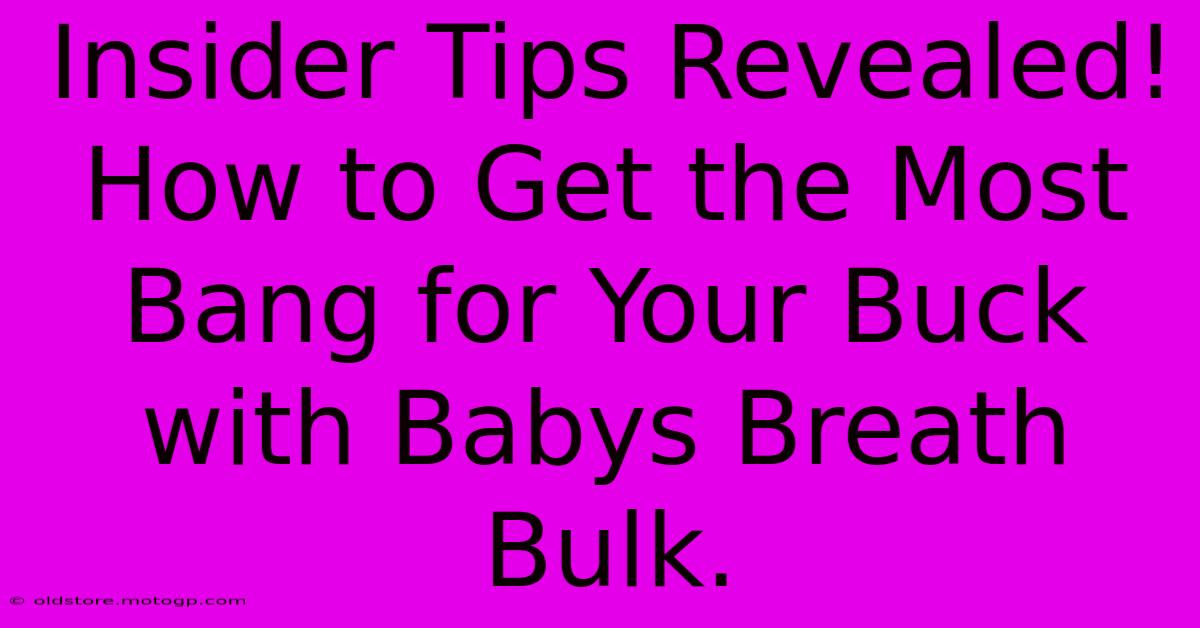 Insider Tips Revealed! How To Get The Most Bang For Your Buck With Babys Breath Bulk.