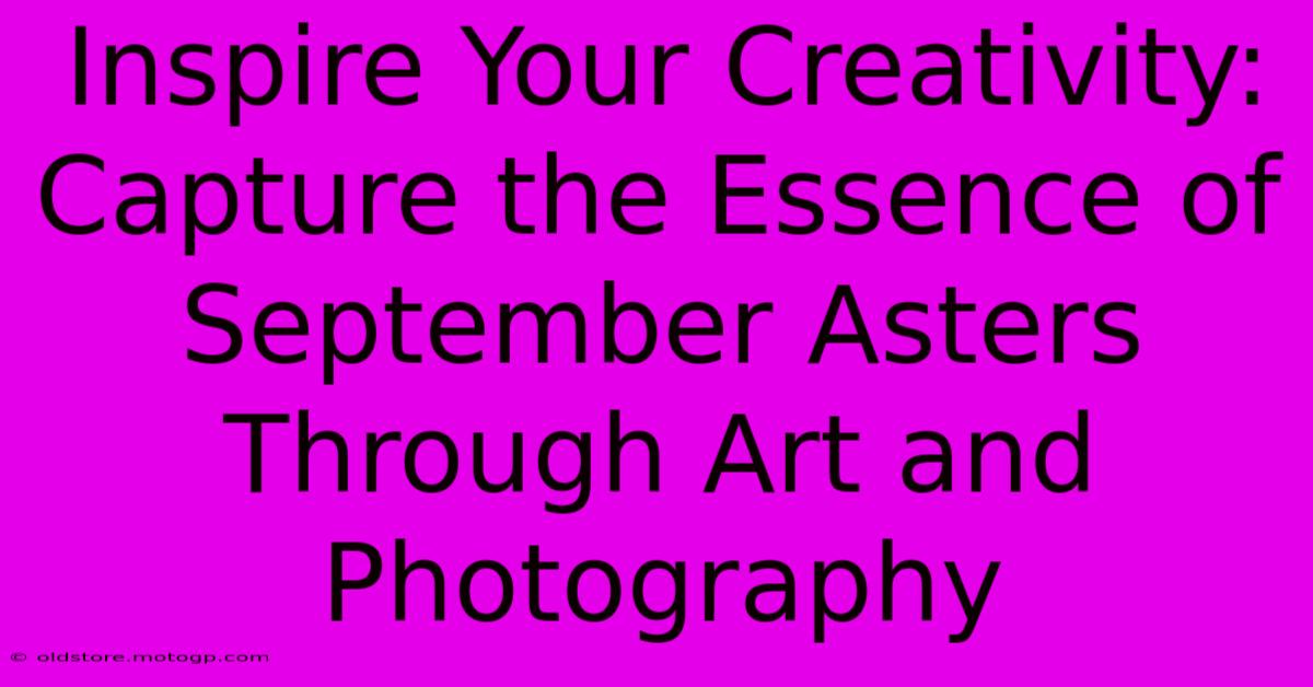 Inspire Your Creativity: Capture The Essence Of September Asters Through Art And Photography