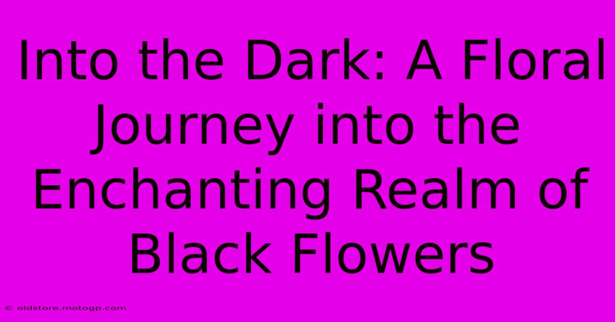 Into The Dark: A Floral Journey Into The Enchanting Realm Of Black Flowers