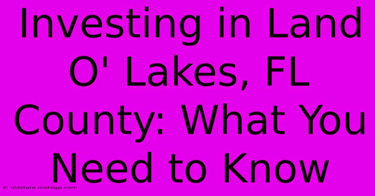 Investing In Land O' Lakes, FL County: What You Need To Know