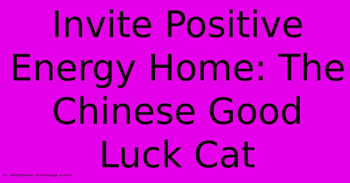 Invite Positive Energy Home: The Chinese Good Luck Cat