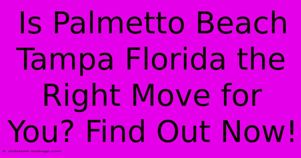 Is Palmetto Beach Tampa Florida The Right Move For You? Find Out Now!