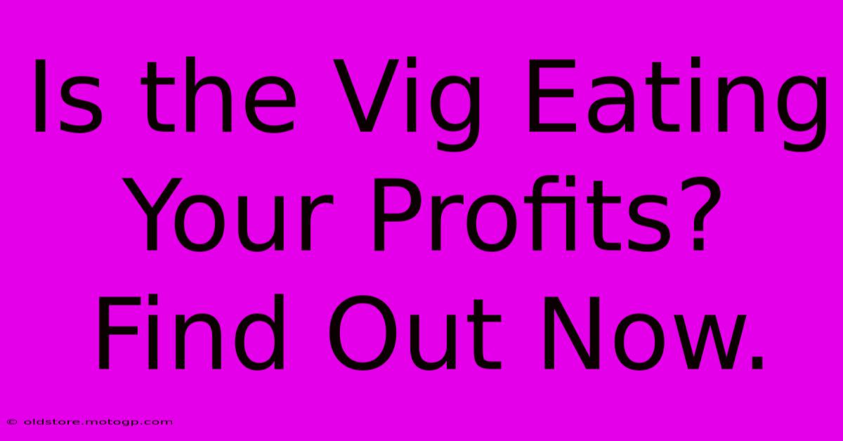 Is The Vig Eating Your Profits? Find Out Now.