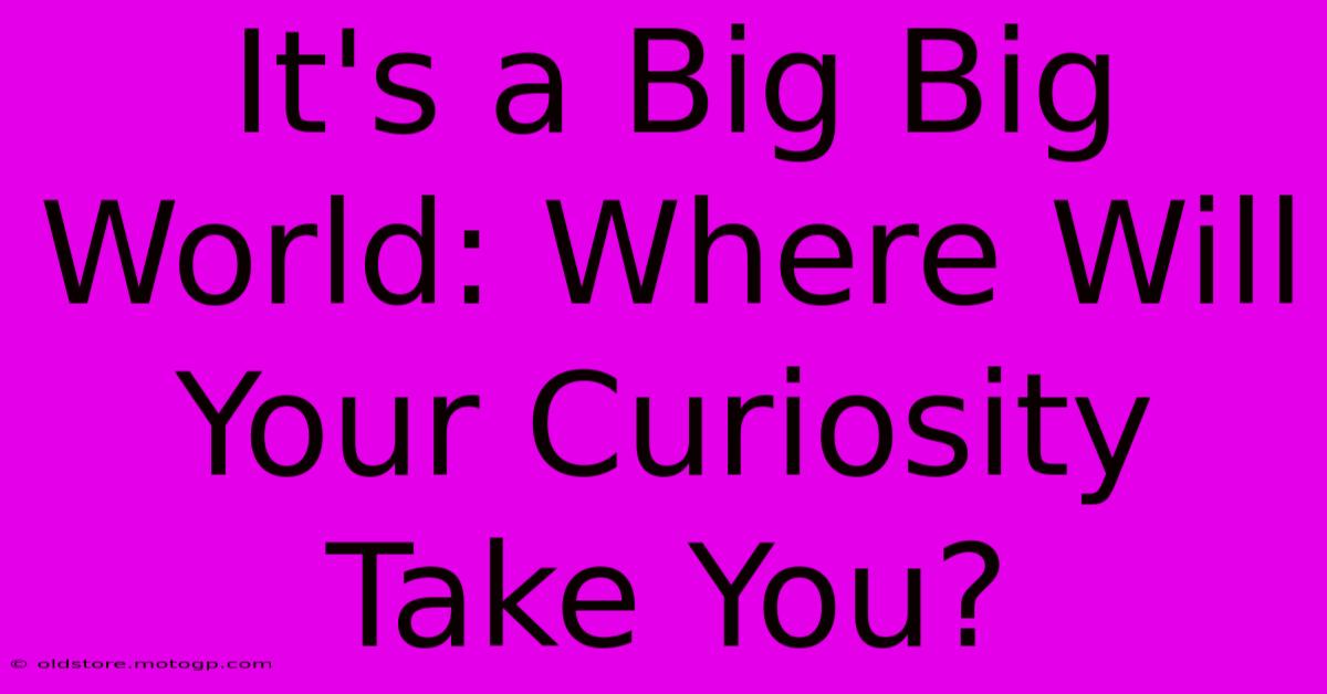 It's A Big Big World: Where Will Your Curiosity Take You?