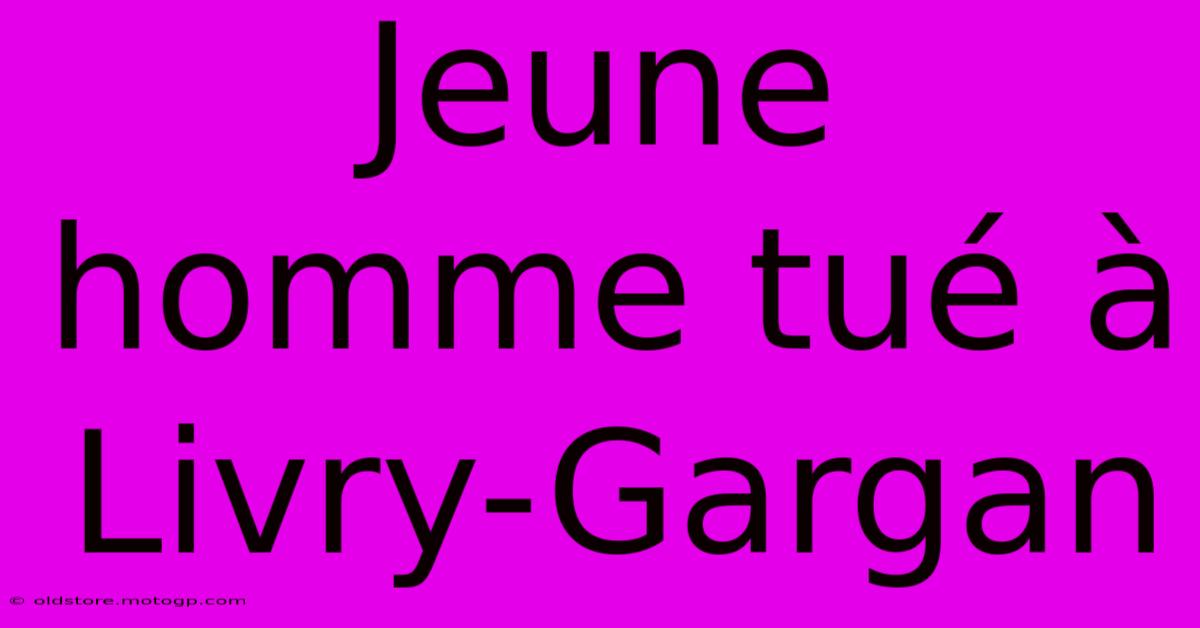 Jeune Homme Tué À Livry-Gargan