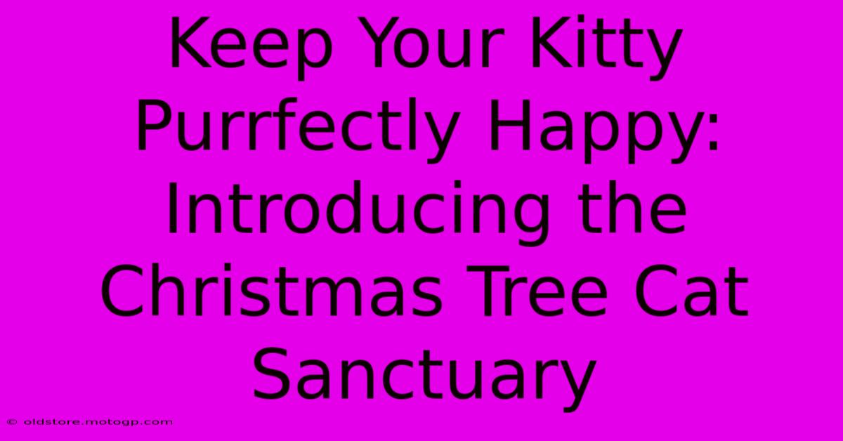 Keep Your Kitty Purrfectly Happy: Introducing The Christmas Tree Cat Sanctuary