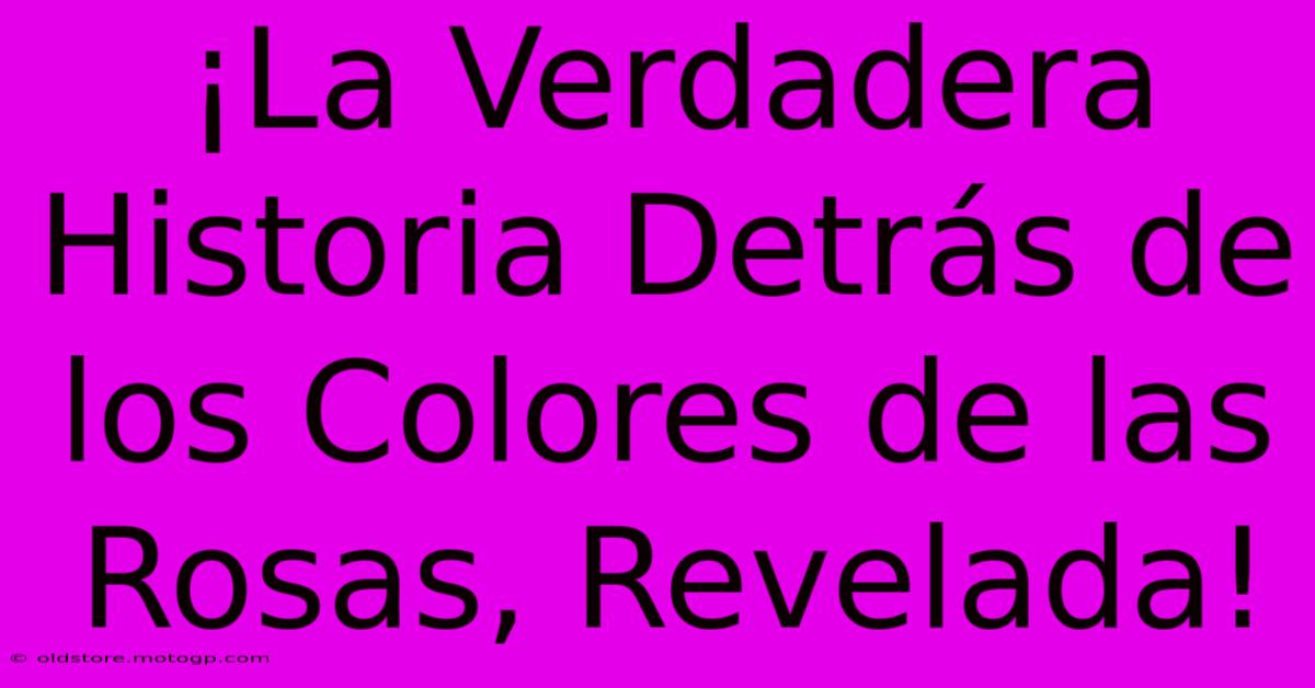 ¡La Verdadera Historia Detrás De Los Colores De Las Rosas, Revelada!