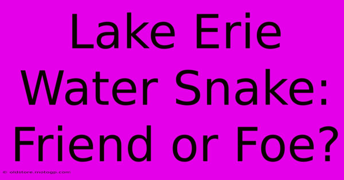 Lake Erie Water Snake: Friend Or Foe?