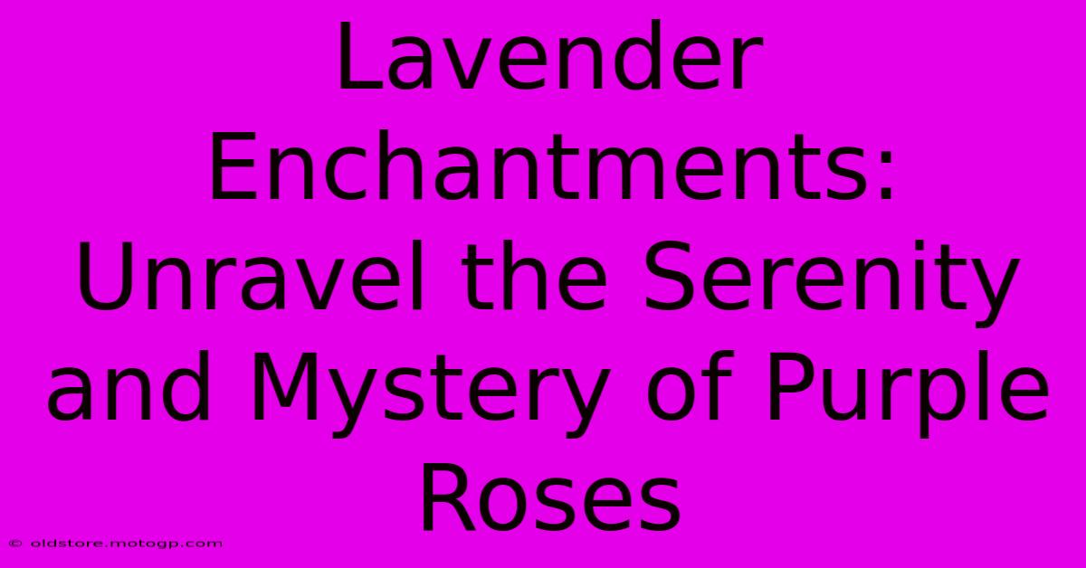 Lavender Enchantments: Unravel The Serenity And Mystery Of Purple Roses