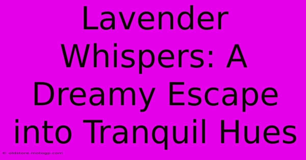 Lavender Whispers: A Dreamy Escape Into Tranquil Hues