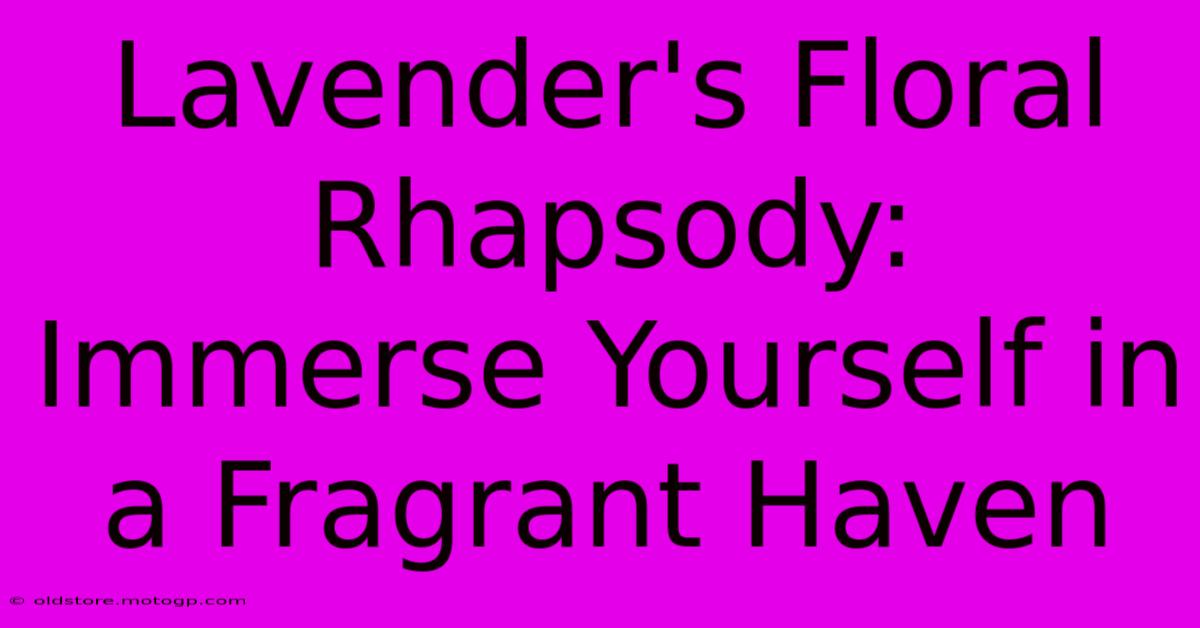 Lavender's Floral Rhapsody: Immerse Yourself In A Fragrant Haven