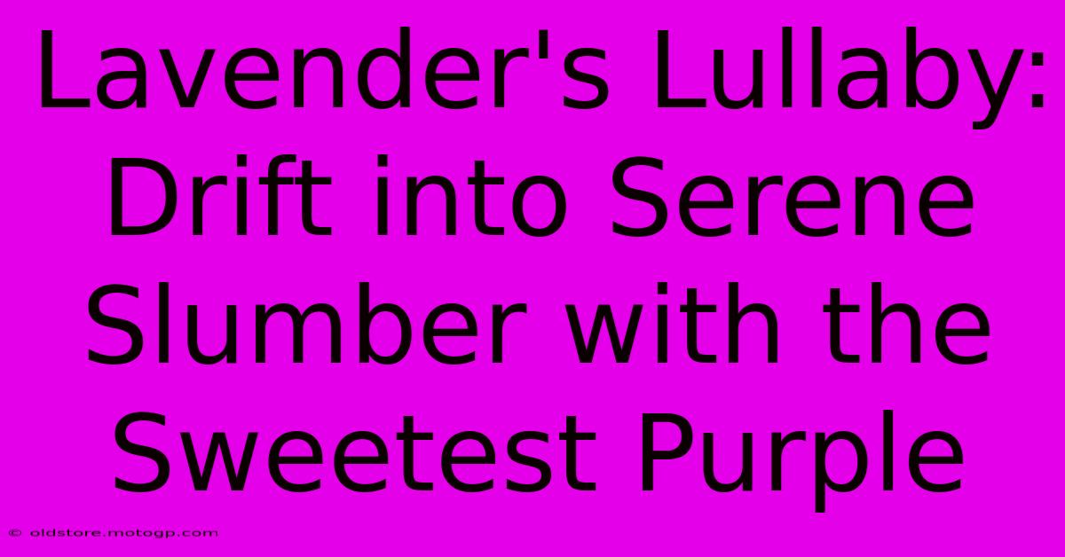 Lavender's Lullaby: Drift Into Serene Slumber With The Sweetest Purple