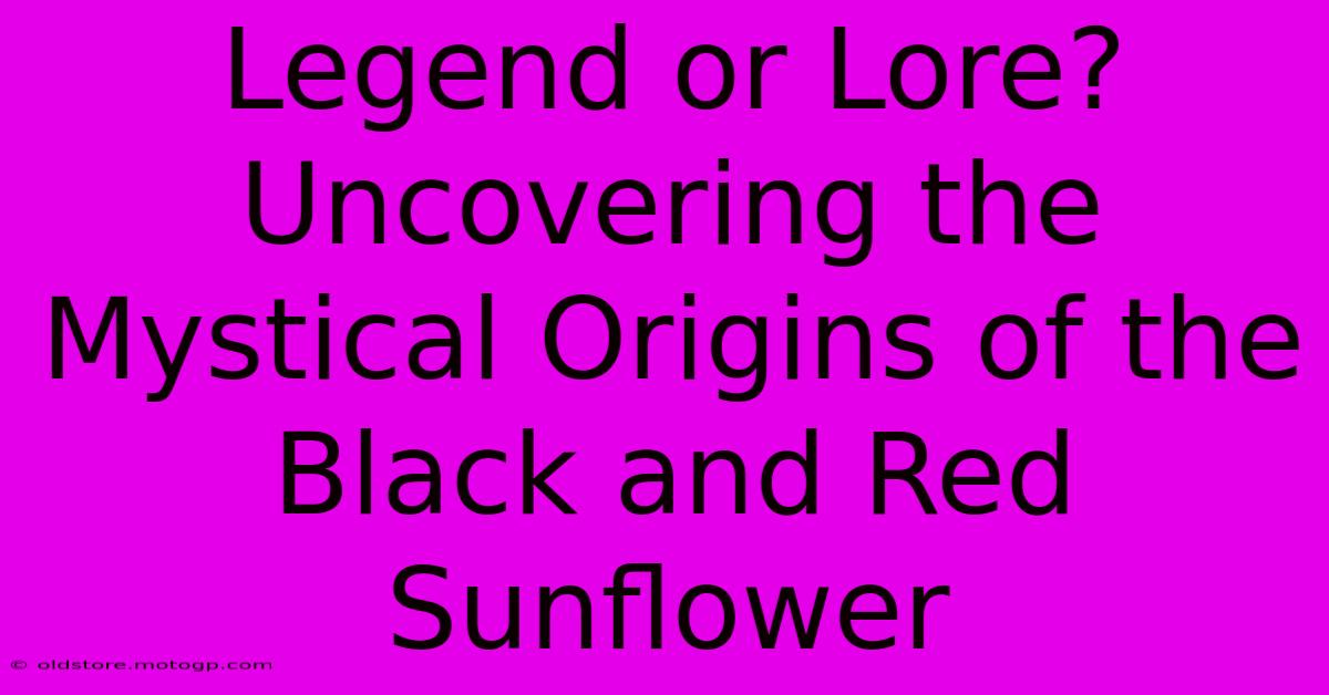 Legend Or Lore? Uncovering The Mystical Origins Of The Black And Red Sunflower