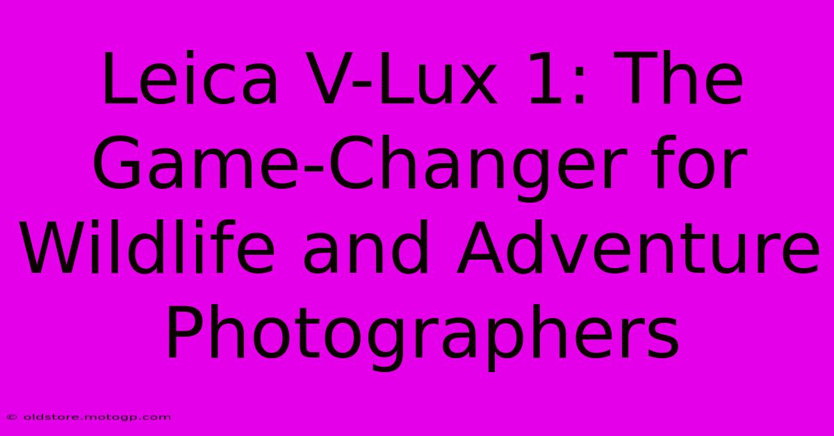 Leica V-Lux 1: The Game-Changer For Wildlife And Adventure Photographers