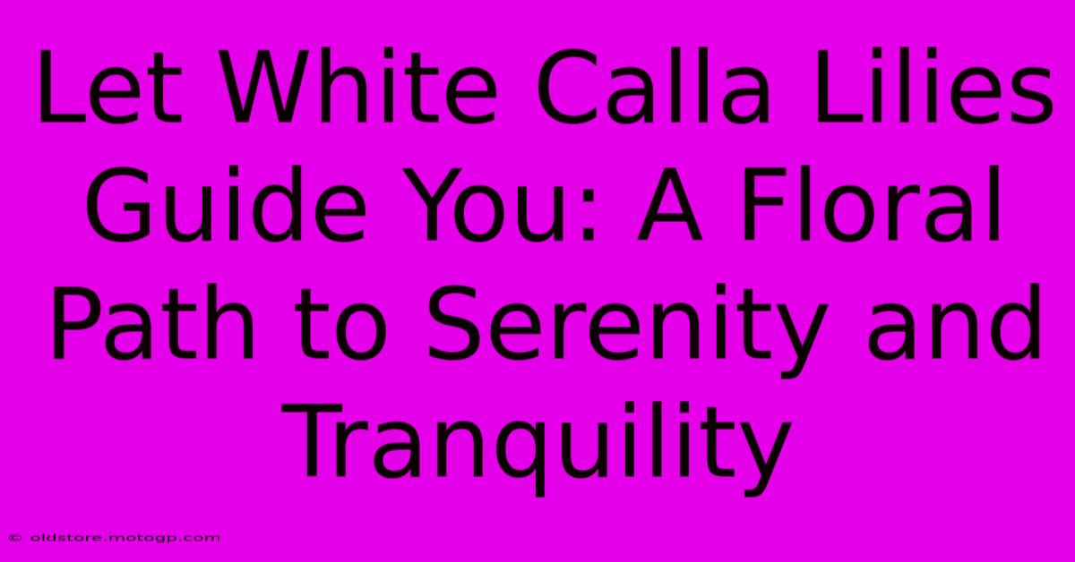 Let White Calla Lilies Guide You: A Floral Path To Serenity And Tranquility