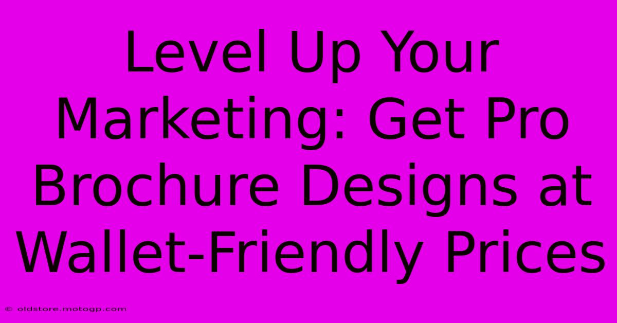 Level Up Your Marketing: Get Pro Brochure Designs At Wallet-Friendly Prices