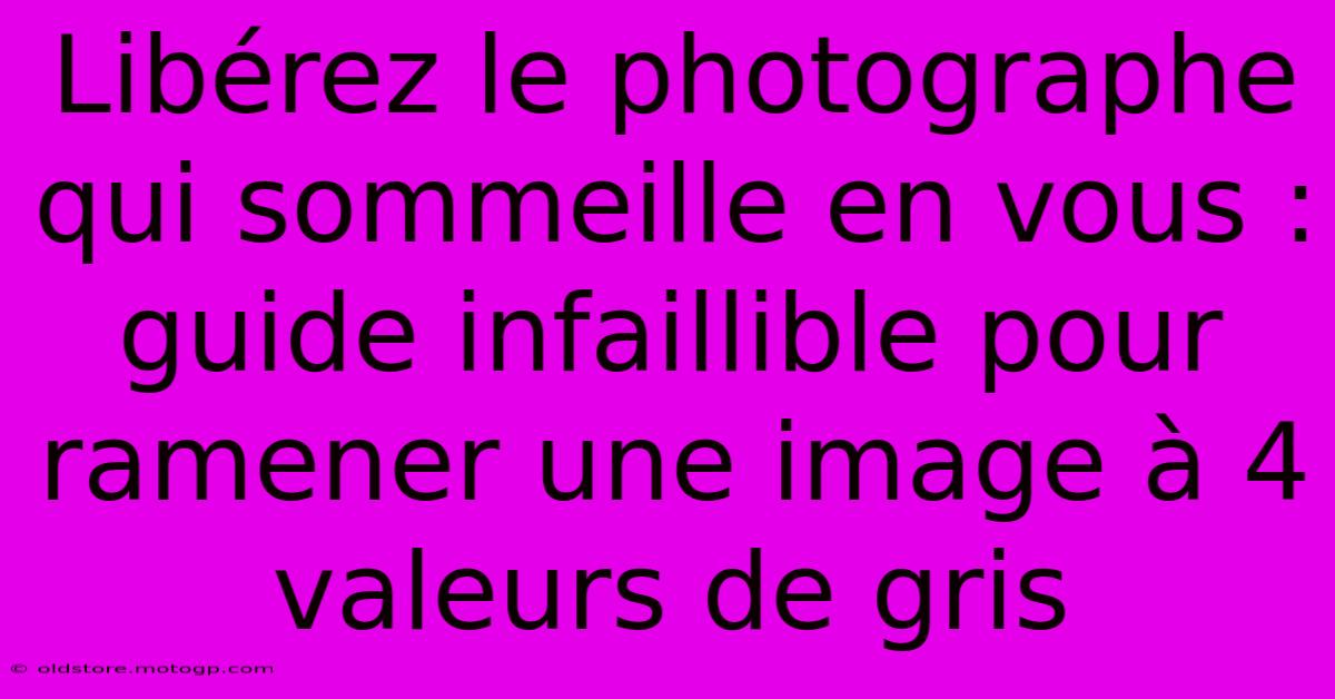 Libérez Le Photographe Qui Sommeille En Vous : Guide Infaillible Pour Ramener Une Image À 4 Valeurs De Gris