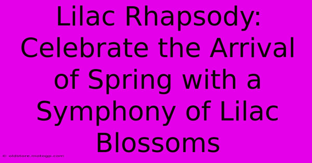 Lilac Rhapsody: Celebrate The Arrival Of Spring With A Symphony Of Lilac Blossoms