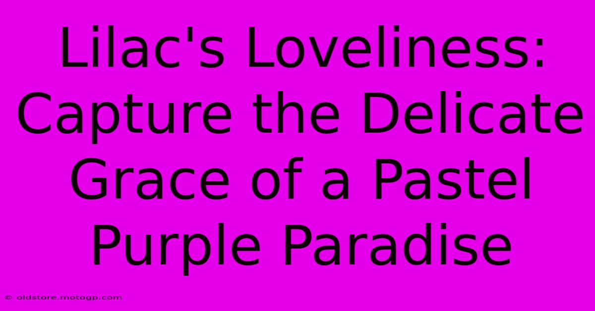 Lilac's Loveliness: Capture The Delicate Grace Of A Pastel Purple Paradise