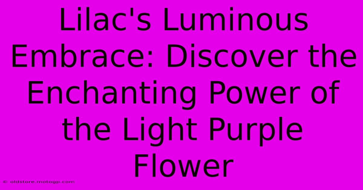 Lilac's Luminous Embrace: Discover The Enchanting Power Of The Light Purple Flower