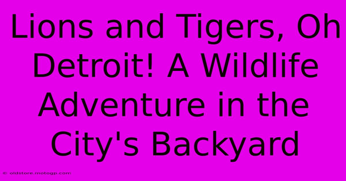 Lions And Tigers, Oh Detroit! A Wildlife Adventure In The City's Backyard