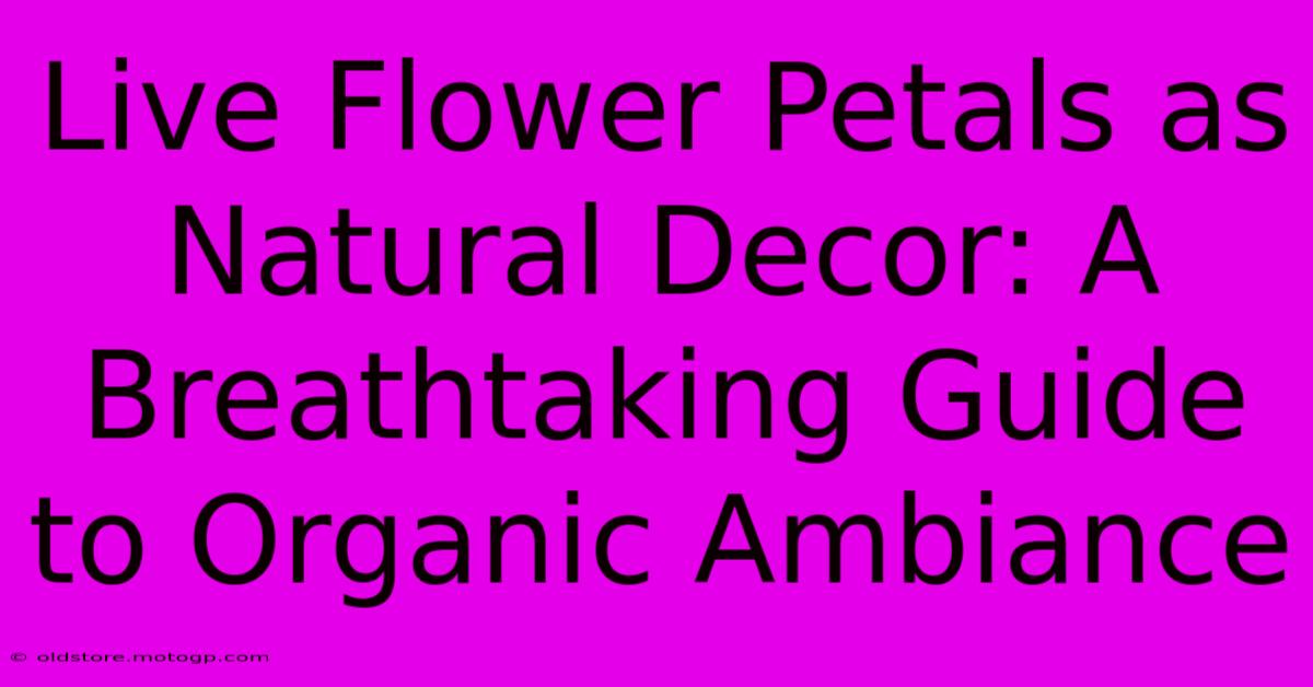 Live Flower Petals As Natural Decor: A Breathtaking Guide To Organic Ambiance