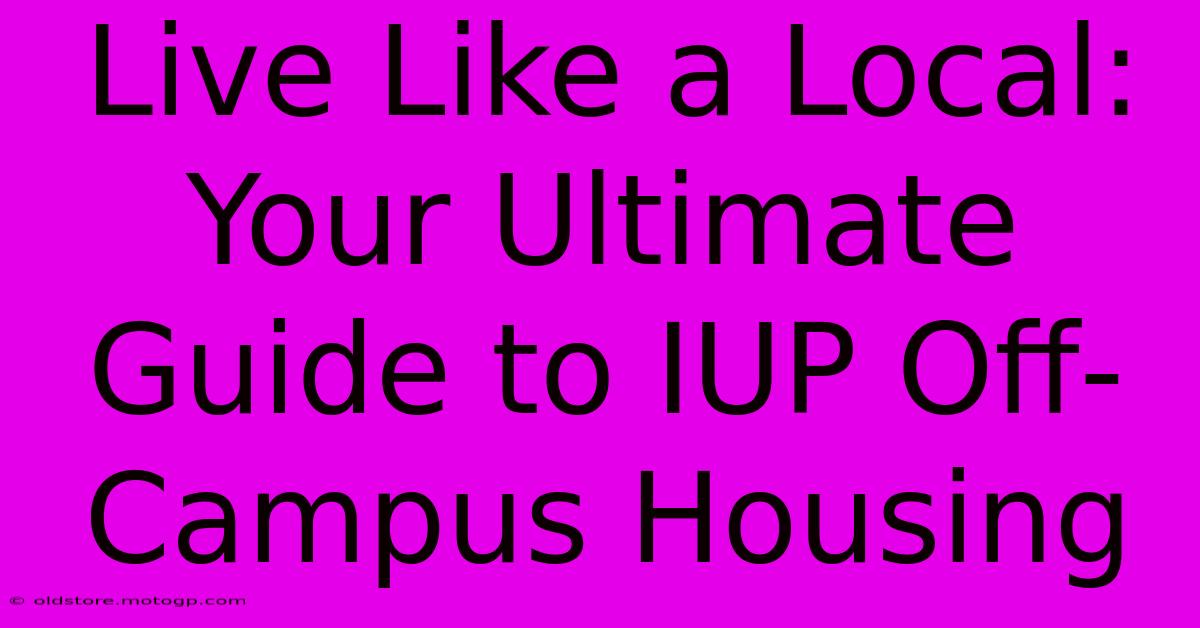 Live Like A Local: Your Ultimate Guide To IUP Off-Campus Housing