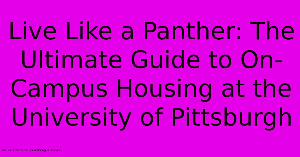 Live Like A Panther: The Ultimate Guide To On-Campus Housing At The University Of Pittsburgh