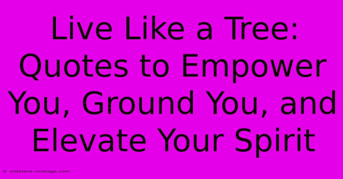 Live Like A Tree: Quotes To Empower You, Ground You, And Elevate Your Spirit