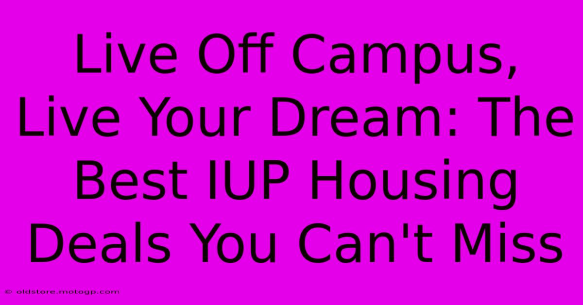 Live Off Campus, Live Your Dream: The Best IUP Housing Deals You Can't Miss