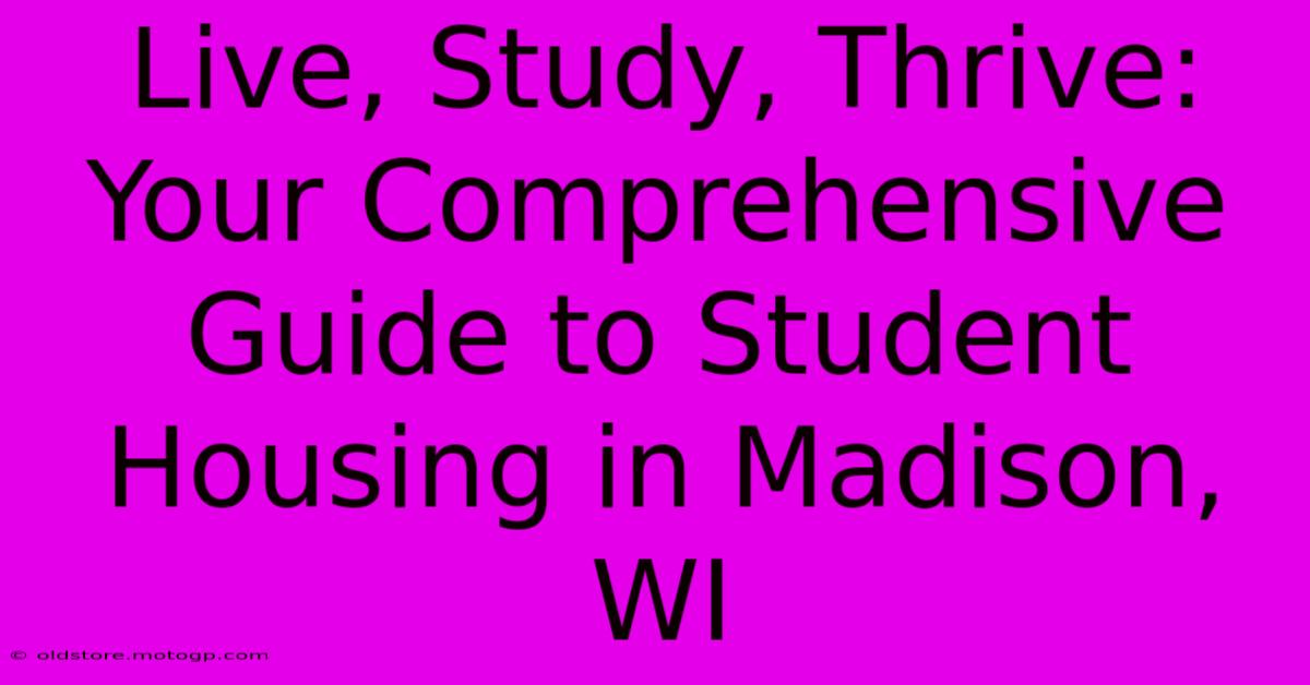 Live, Study, Thrive: Your Comprehensive Guide To Student Housing In Madison, WI