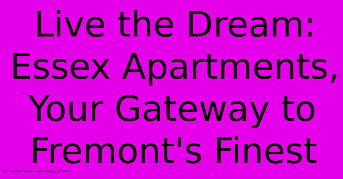 Live The Dream: Essex Apartments, Your Gateway To Fremont's Finest