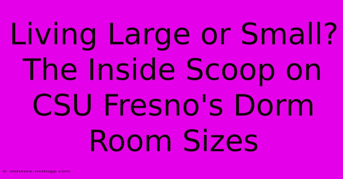 Living Large Or Small? The Inside Scoop On CSU Fresno's Dorm Room Sizes