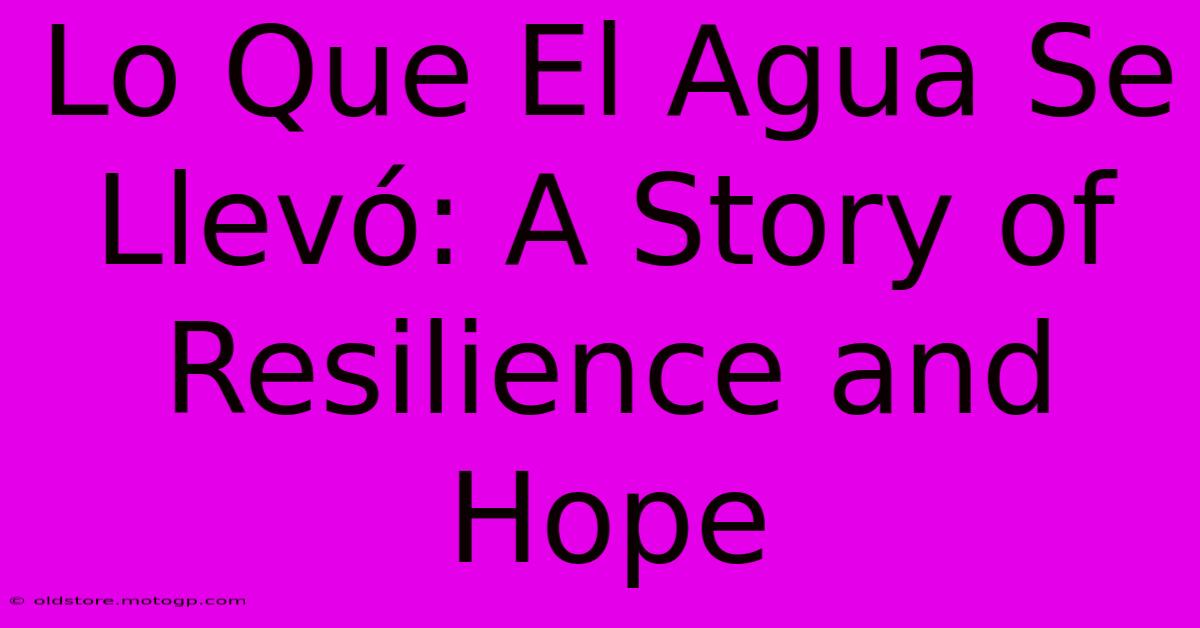 Lo Que El Agua Se Llevó: A Story Of Resilience And Hope