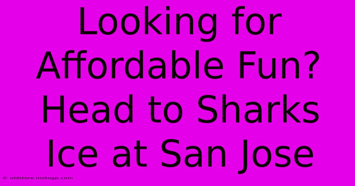 Looking For Affordable Fun? Head To Sharks Ice At San Jose