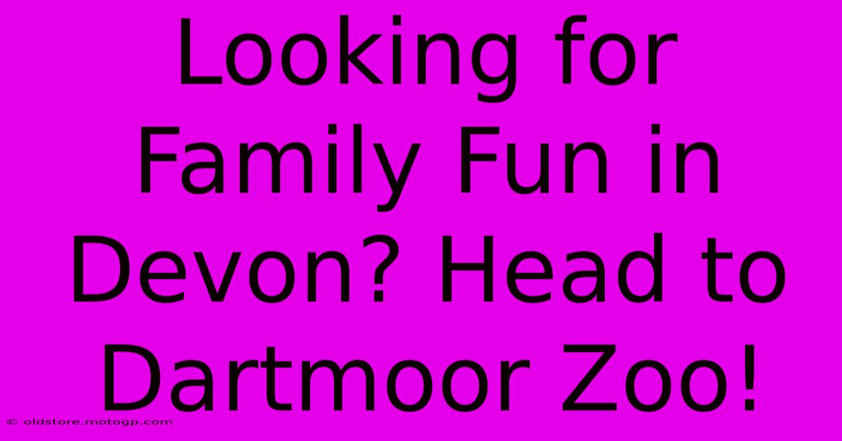 Looking For Family Fun In Devon? Head To Dartmoor Zoo!