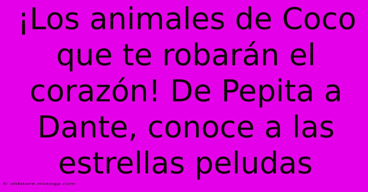 ¡Los Animales De Coco Que Te Robarán El Corazón! De Pepita A Dante, Conoce A Las Estrellas Peludas