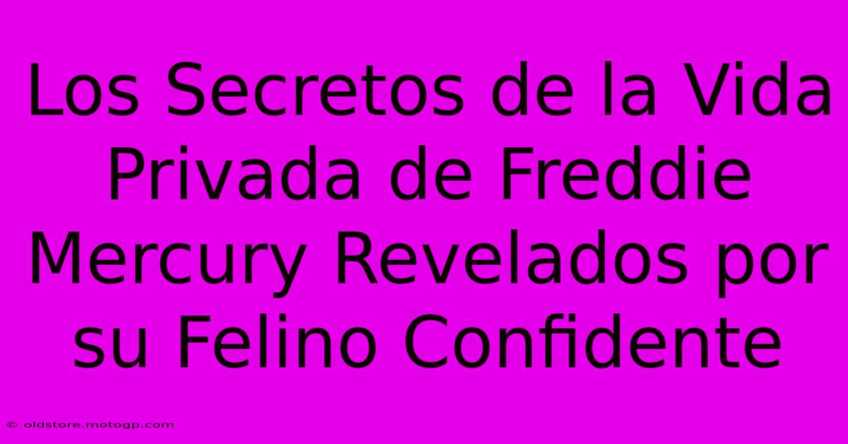 Los Secretos De La Vida Privada De Freddie Mercury Revelados Por Su Felino Confidente