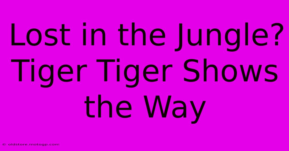 Lost In The Jungle? Tiger Tiger Shows The Way