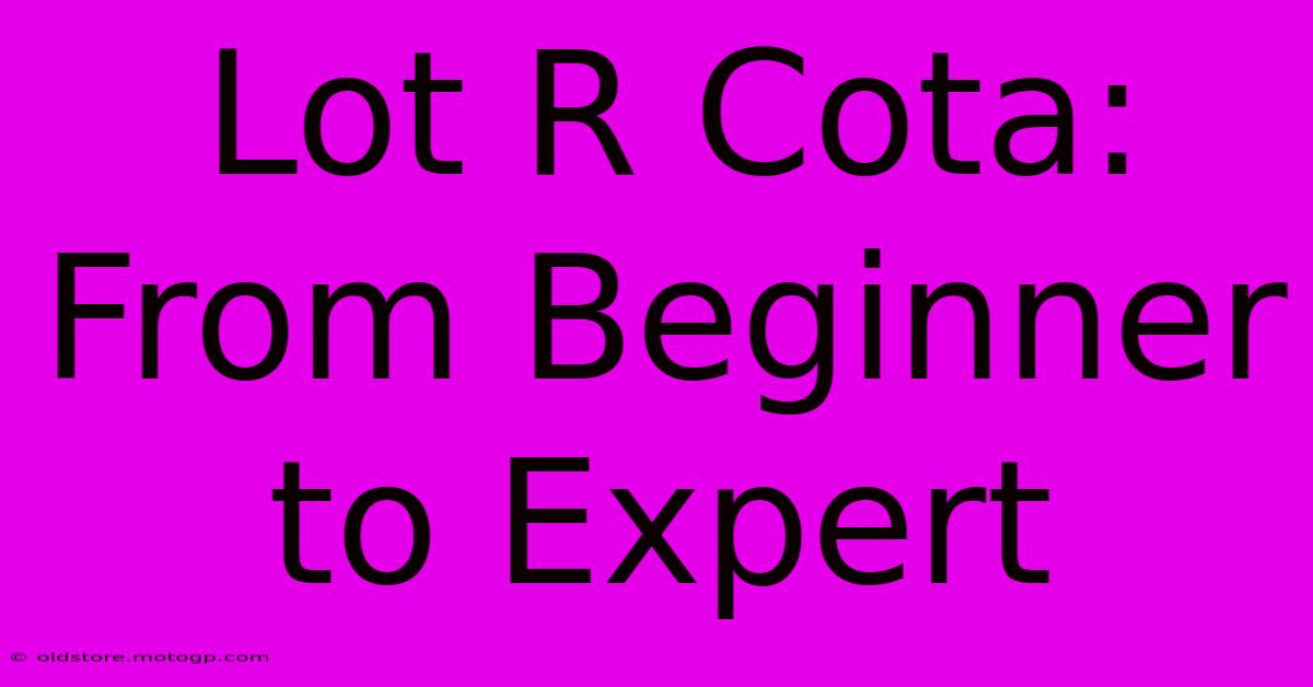 Lot R Cota: From Beginner To Expert