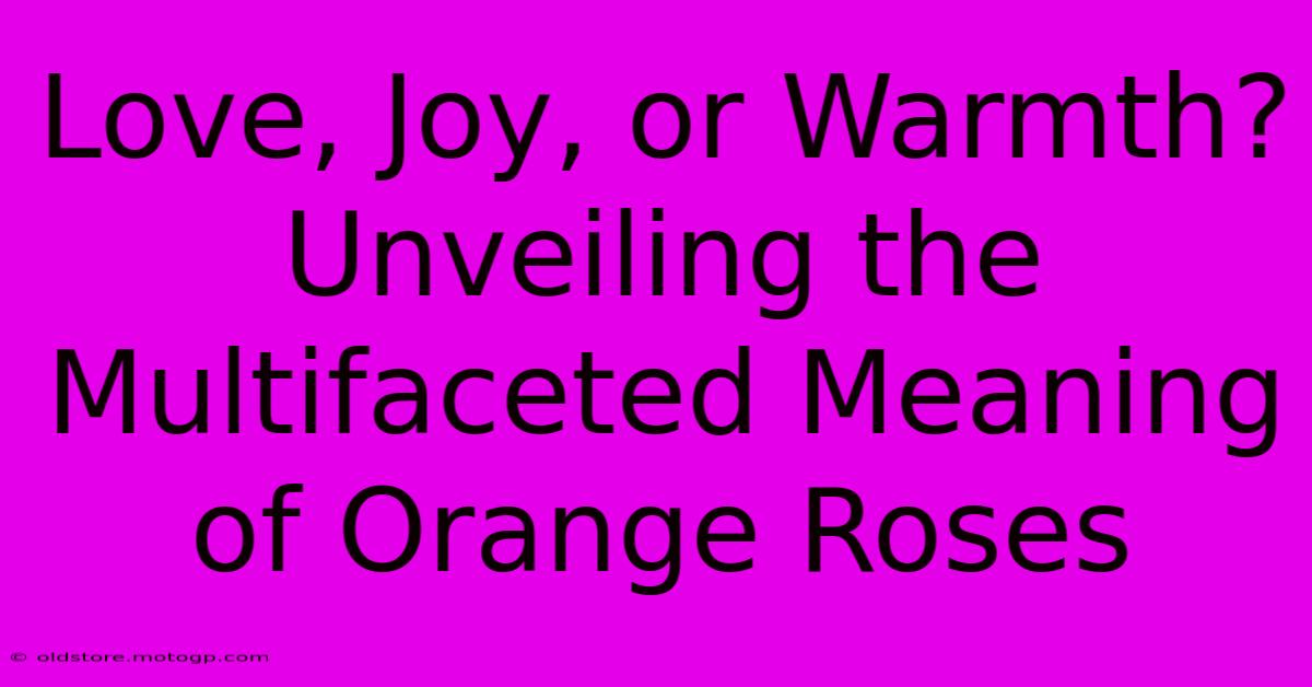 Love, Joy, Or Warmth? Unveiling The Multifaceted Meaning Of Orange Roses