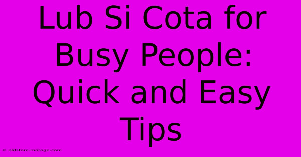 Lub Si Cota For Busy People: Quick And Easy Tips