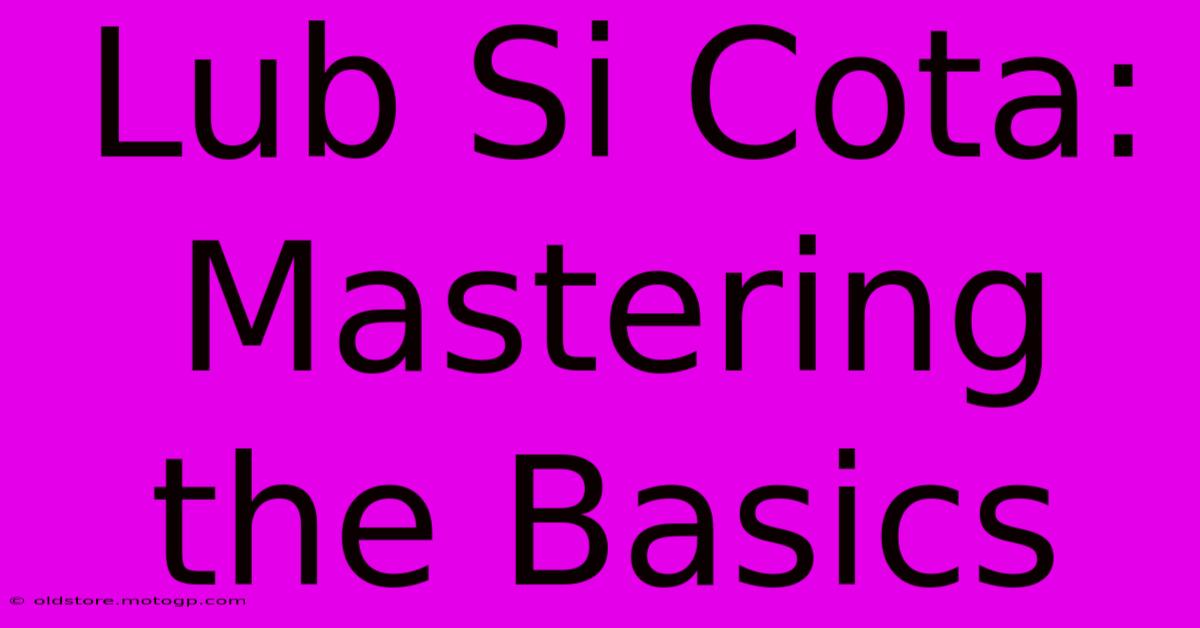 Lub Si Cota: Mastering The Basics